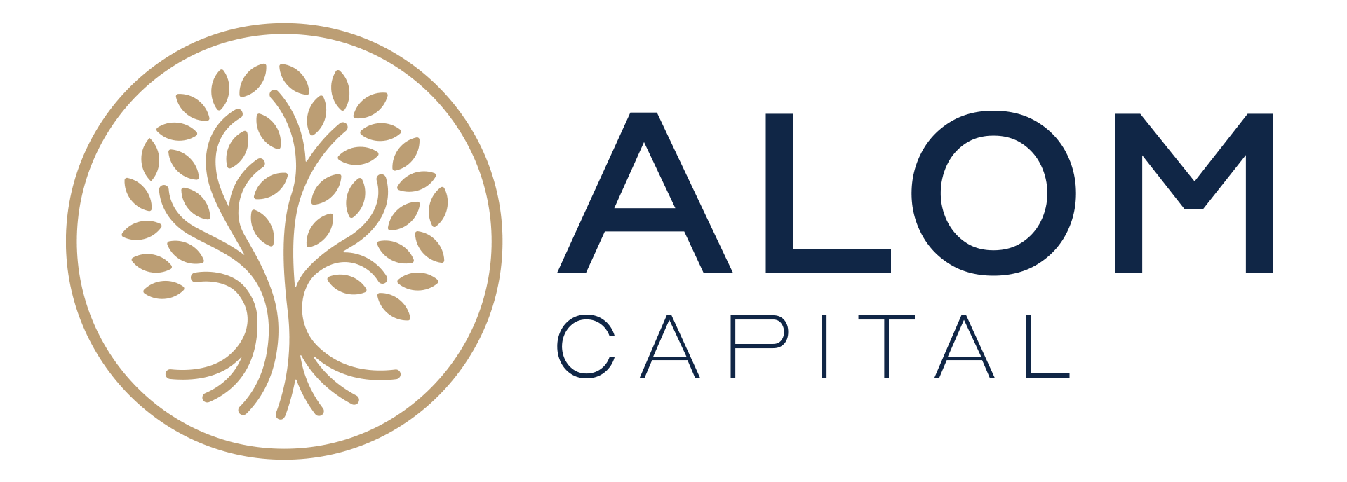 Alom Capital
